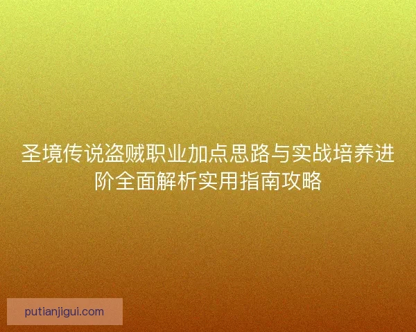 圣境传说盗贼职业加点思路与实战培养进阶全面解析实用指南攻略